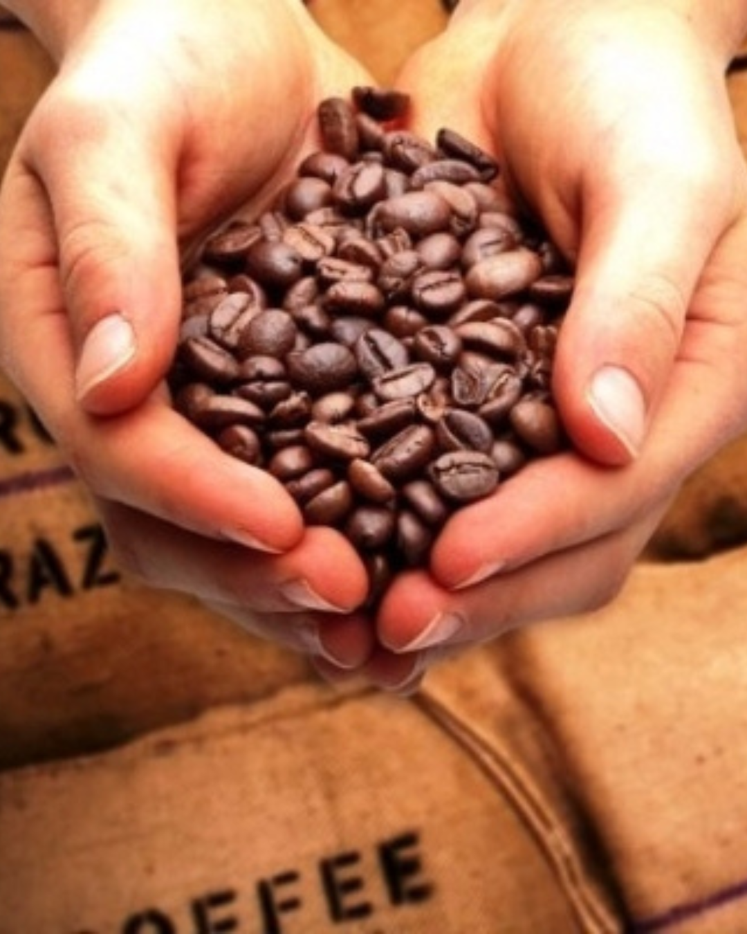 HOME design sem nome (4)